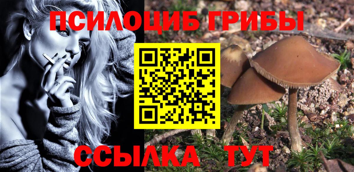 Прокопьевск  Псилоцибиновые грибы Magic Shrooms  Галлюциногенные грибы Cubensis  Вход с VPN 