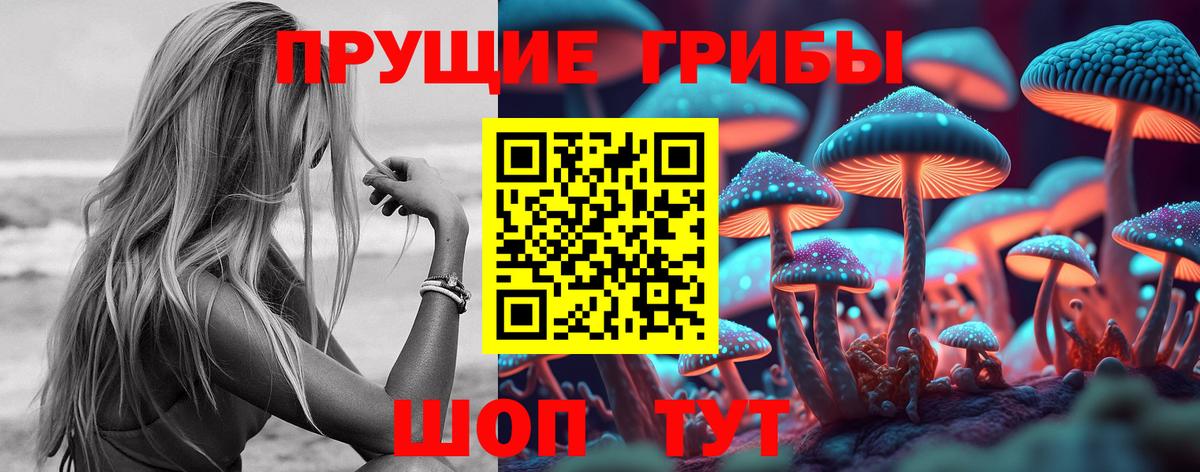 Псилоцибиновые грибы GOLDEN TEACHER Прокопьевск