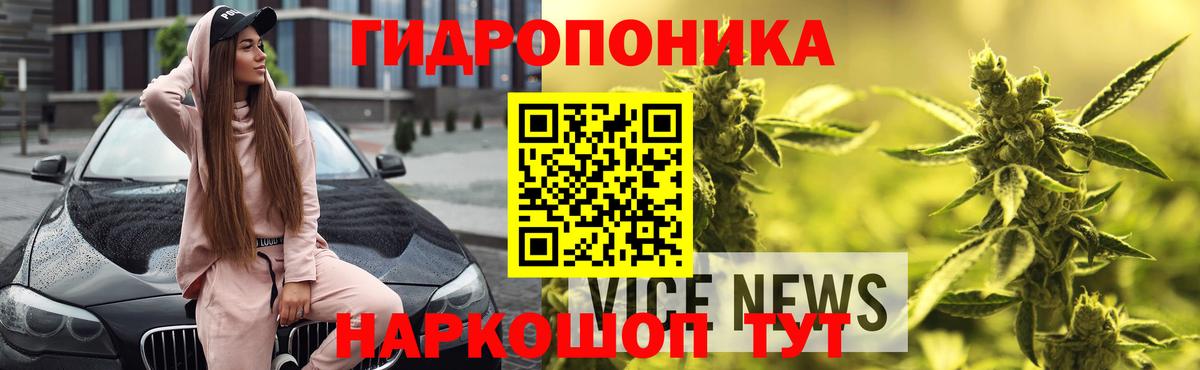 Каннабис THC 21%  Шишки марихуана тримм  Бошки Шишки гибрид  Прокопьевск  Вход с VPN 